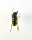 Click for more details.